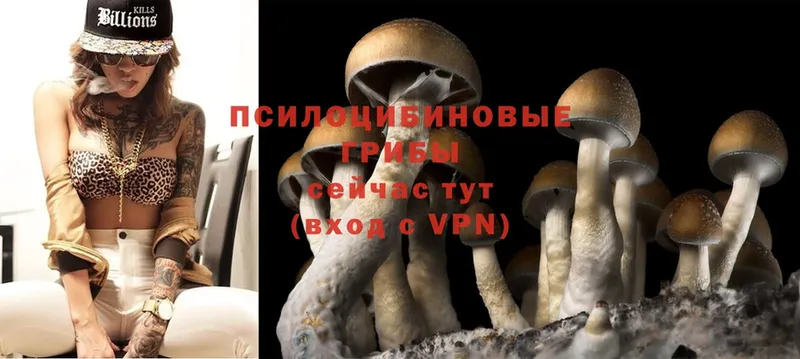 купить закладку  мега сайт  Галлюциногенные грибы Psilocybine cubensis  Хабаровск 